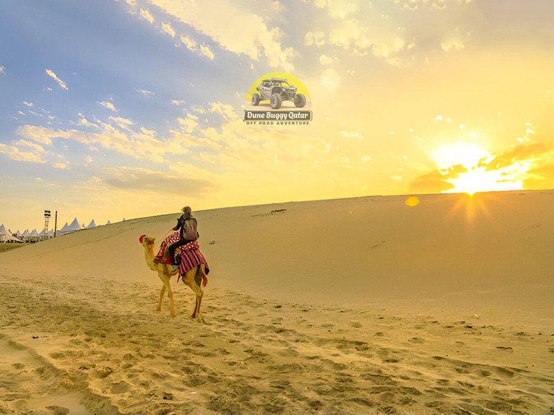 Private Morning Desert Safari Qatar