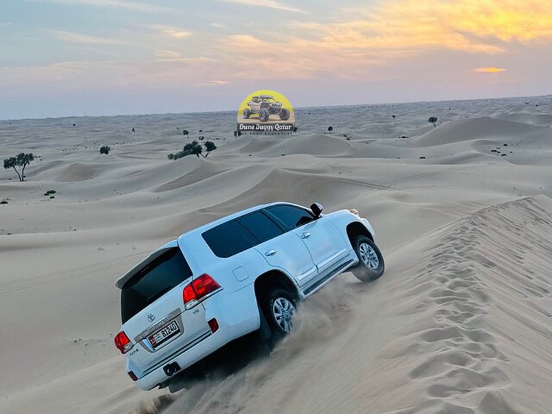 afternoon desert safari qatar slider image 2