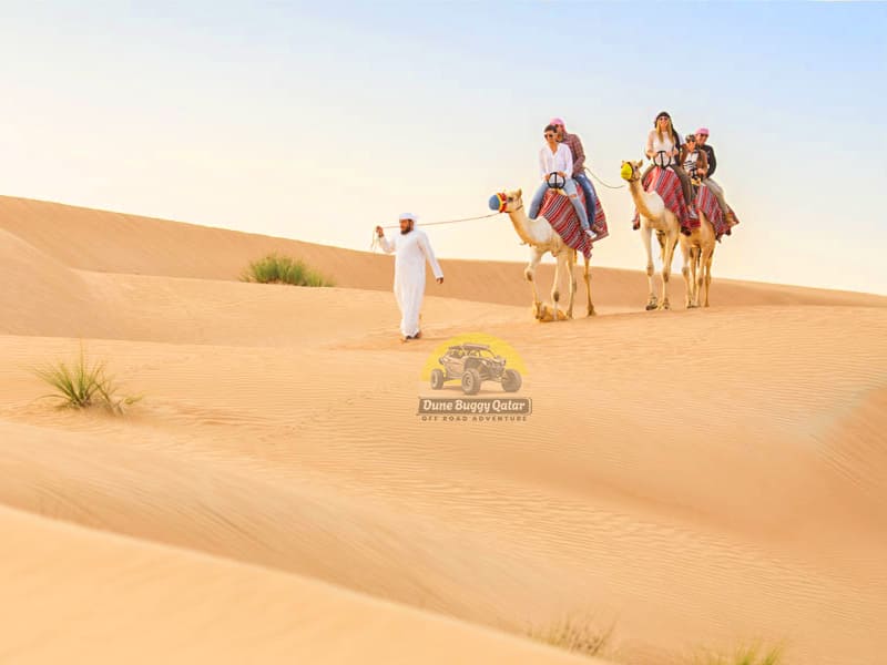 Qatra Desert Safai Camel Ride 3