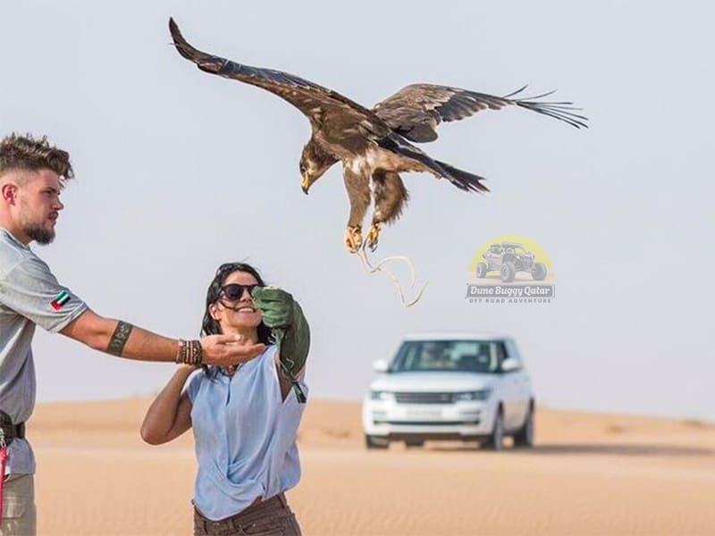 Qutar Desert Safari Falcon Picture 3