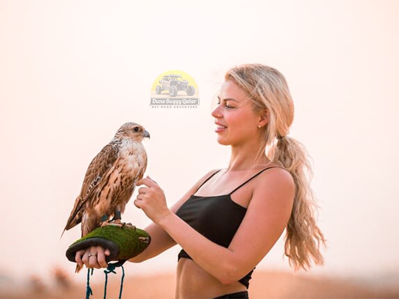 Qutar Desert Safari Falcon Picture 5